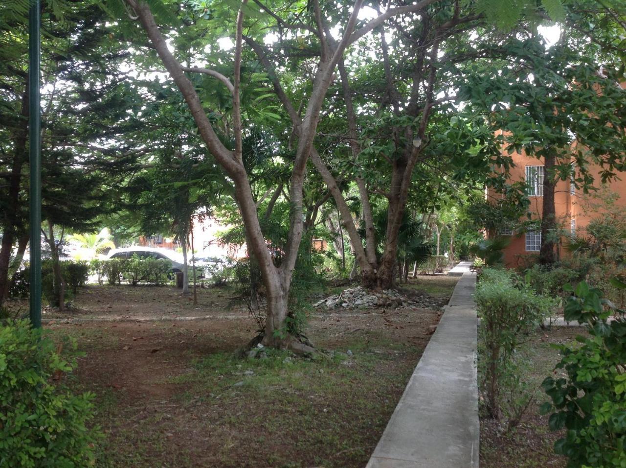 Departamento Tucan แคนคูน ภายนอก รูปภาพ