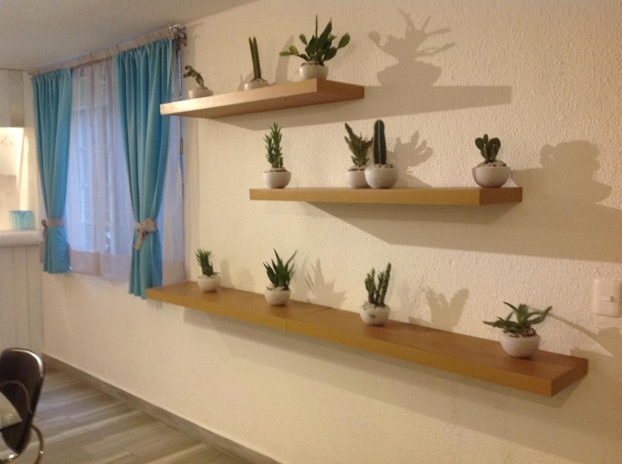 Departamento Tucan แคนคูน ภายนอก รูปภาพ